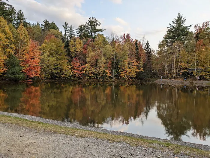 Moose Hillock Camping Resort Picture 3