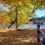 Pemi River Campground