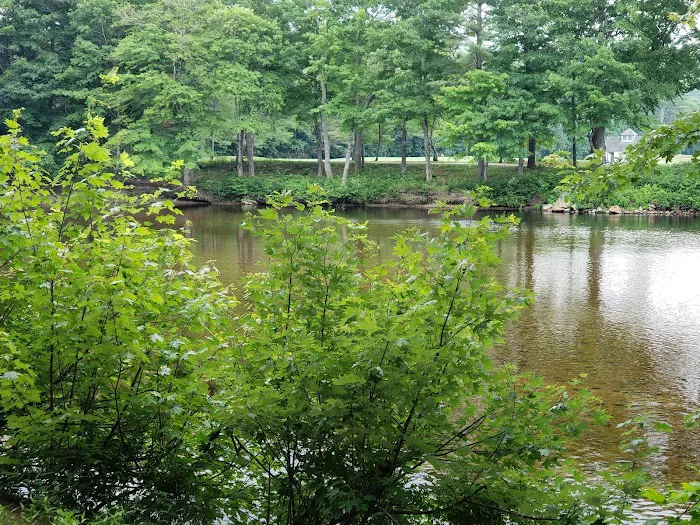 Pemi River Campground Picture 7