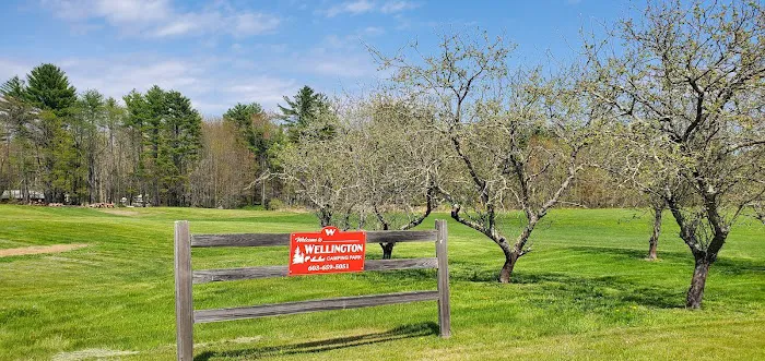 Wellington Camping Park Picture 4