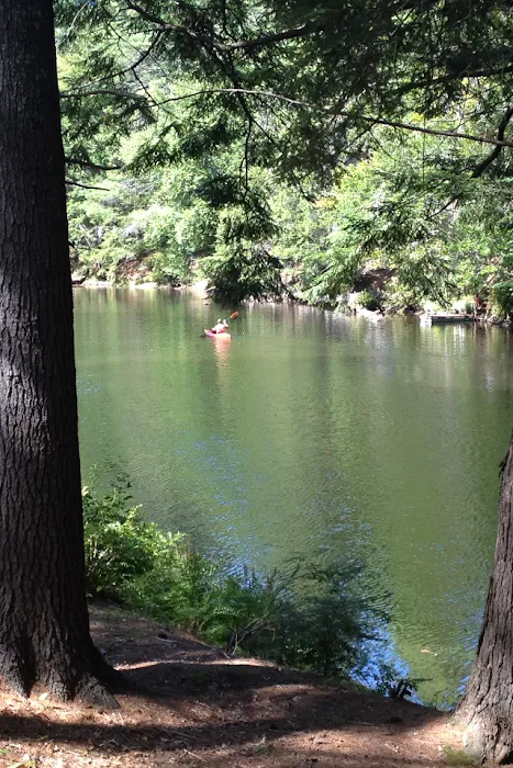 Wellington Camping Park Picture 7