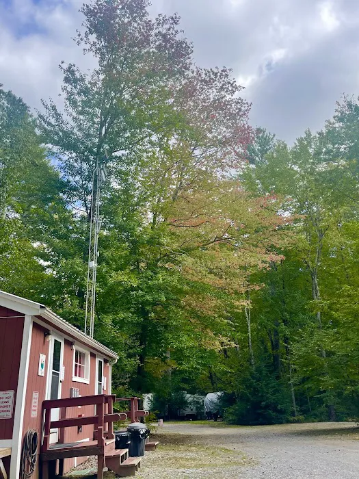 Wellington Camping Park Picture 3