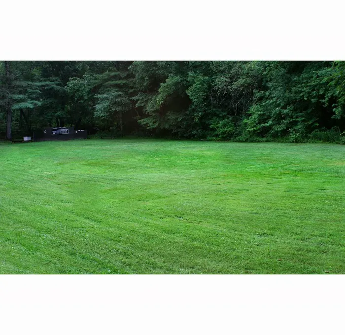 Ferndale Acres Campground Picture 9