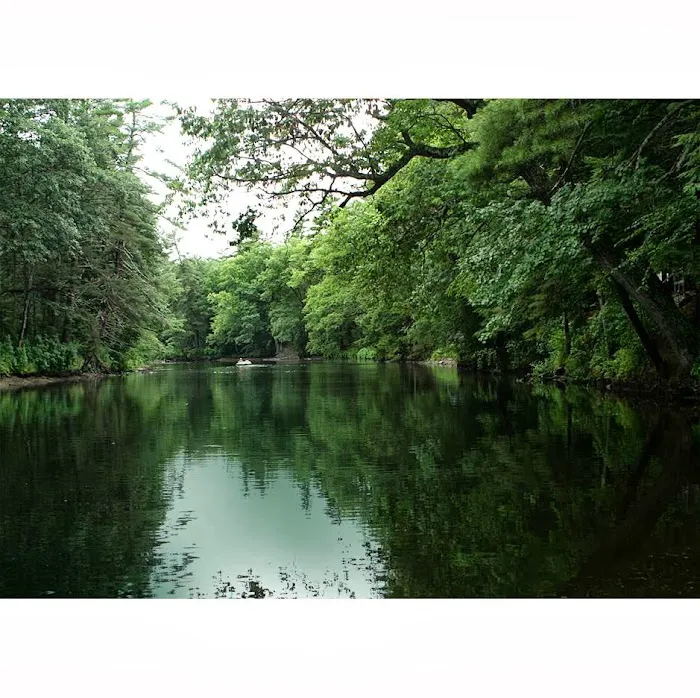 Ferndale Acres Campground Picture 5