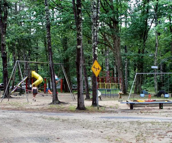 Ferndale Acres Campground Picture 2