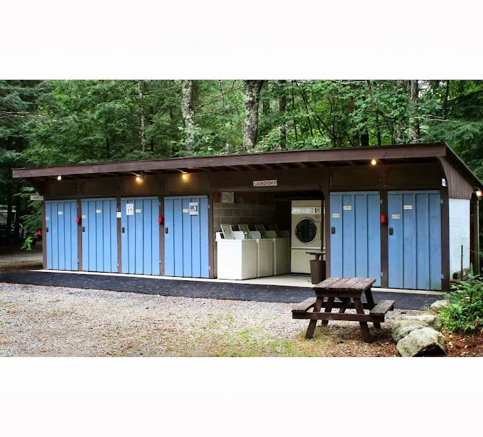 Ferndale Acres Campground Picture 7