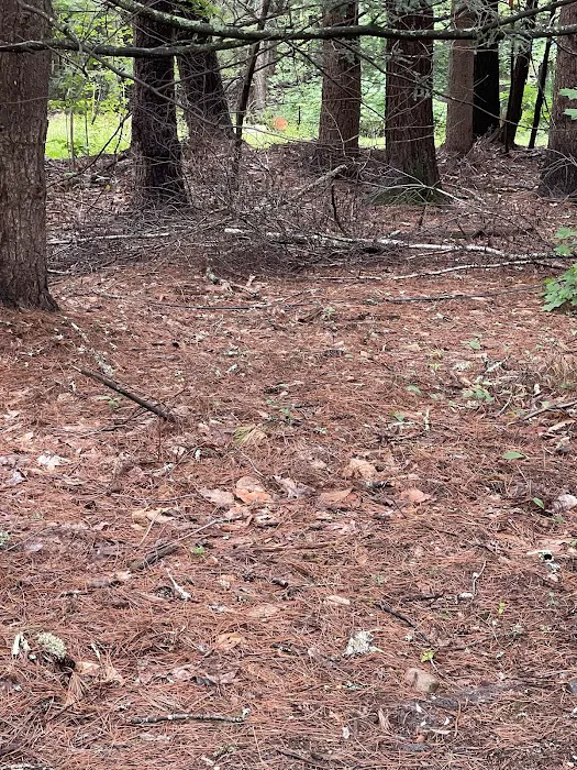 Ferndale Acres Campground Picture 10