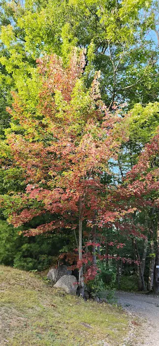 Barrington Shores Campground Picture 5