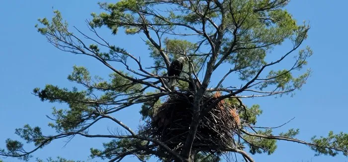 Ayers Lake Farm Campground & Cottages Picture 3