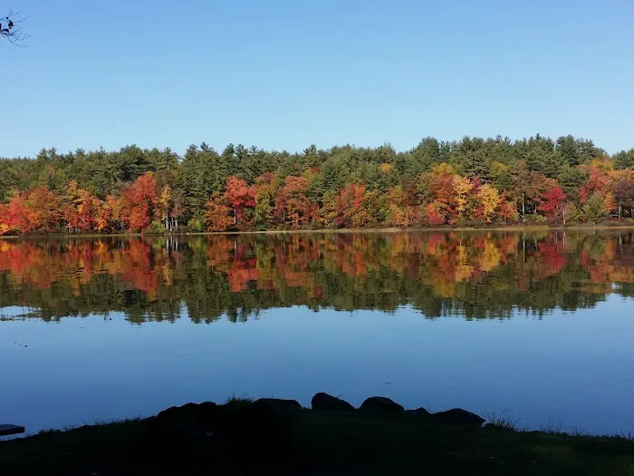 Ayers Lake Farm Campground & Cottages Picture 7