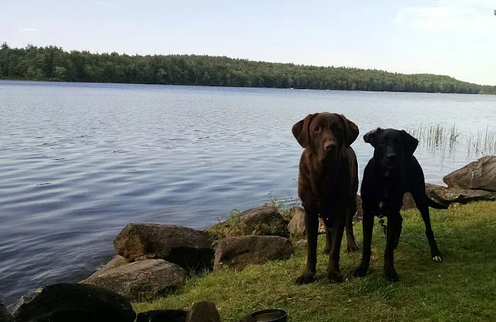 Ayers Lake Farm Campground & Cottages Picture 8