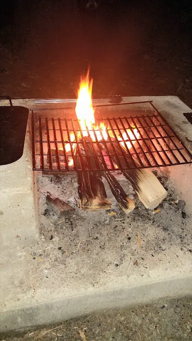 Tidewater Campground Picture 3