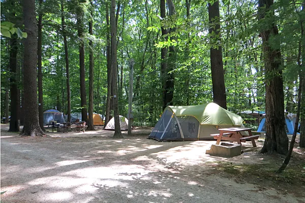Tidewater Campground Picture 10