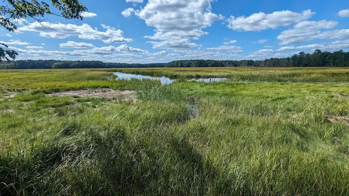 Tidewater Campground Picture 6