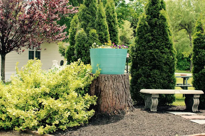 Sea Coast Camping and RV Resort Picture 3