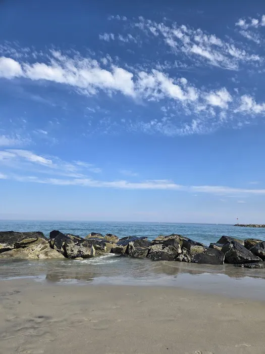 Hampton Beach State Park Campground Picture 3
