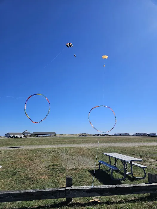 Hampton Beach State Park Campground Picture 4