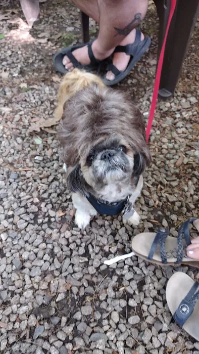 Old Stage Campground Picture 2