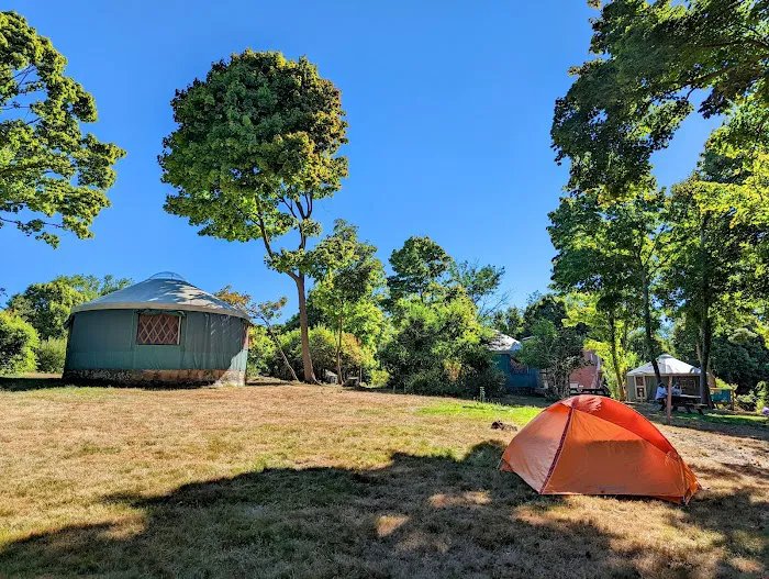 Peddocks Island Yurt #3 Picture 3