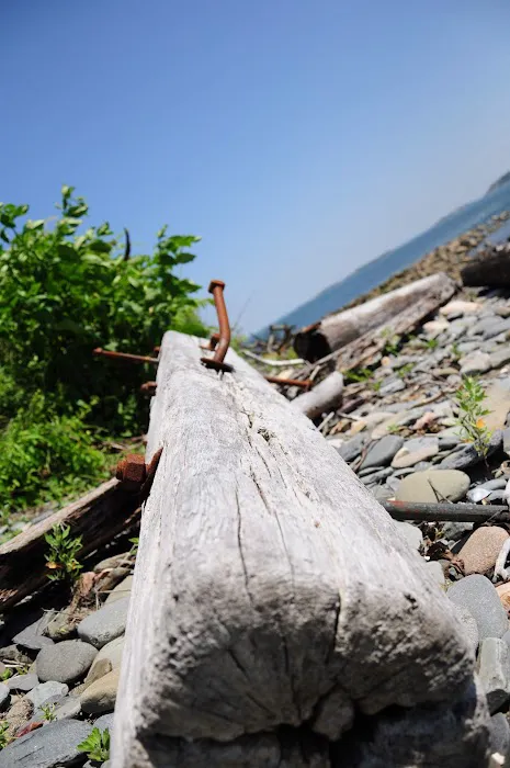 Lovells Island Picture 6