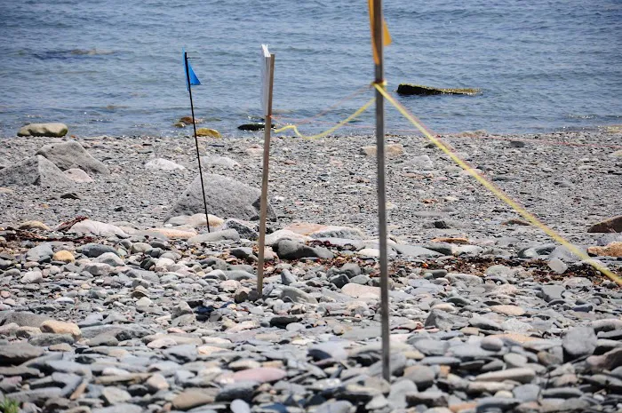 Lovells Island Picture 10