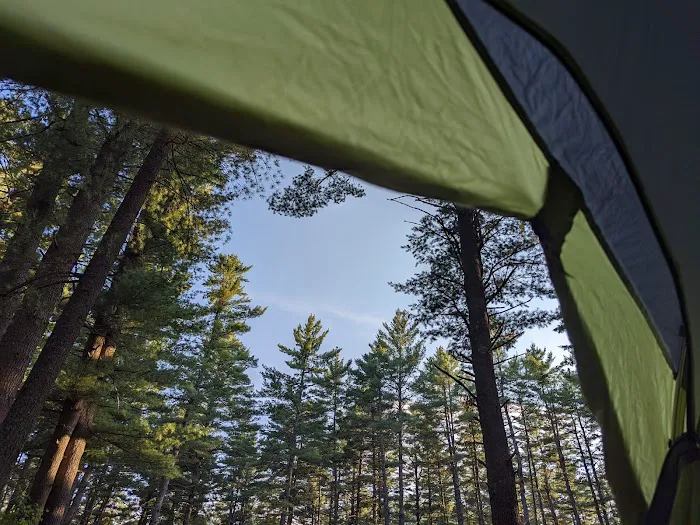 Sharp Bridge Campground Picture 3