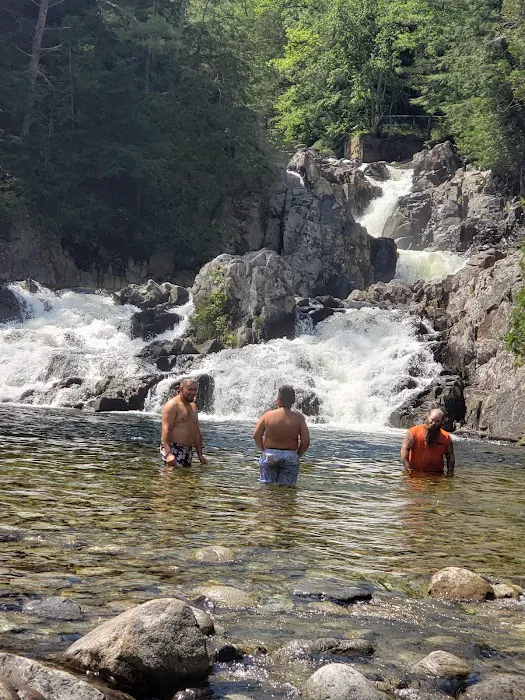 Sharp Bridge Campground Picture 4