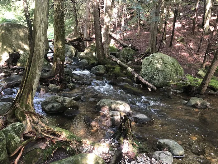 Chapel Pond Campsites Picture 6