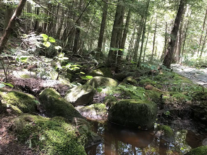 Chapel Pond Campsites Picture 5