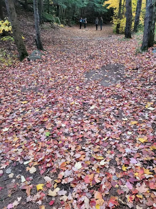 Chapel Pond Campsites Picture 7