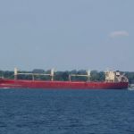 Shelato Cedar Springs Cottages