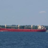 Shelato Cedar Springs Cottages ico