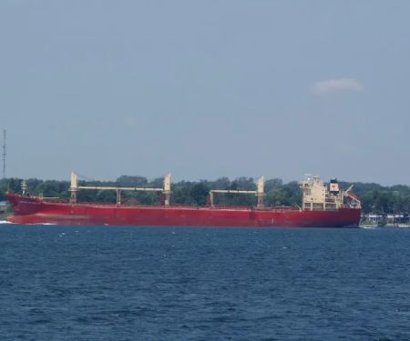 Shelato Cedar Springs Cottages