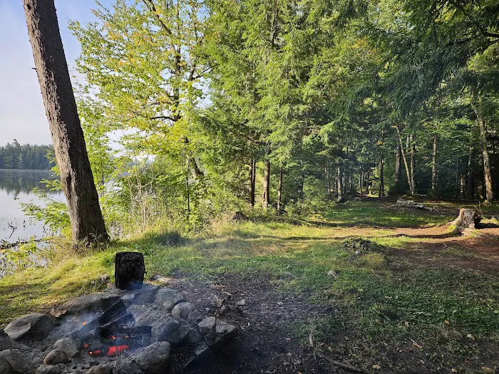 NYS Forest Campground Picture 4