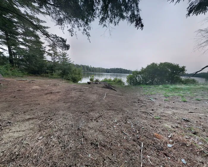 NYS Forest Campground Picture 2