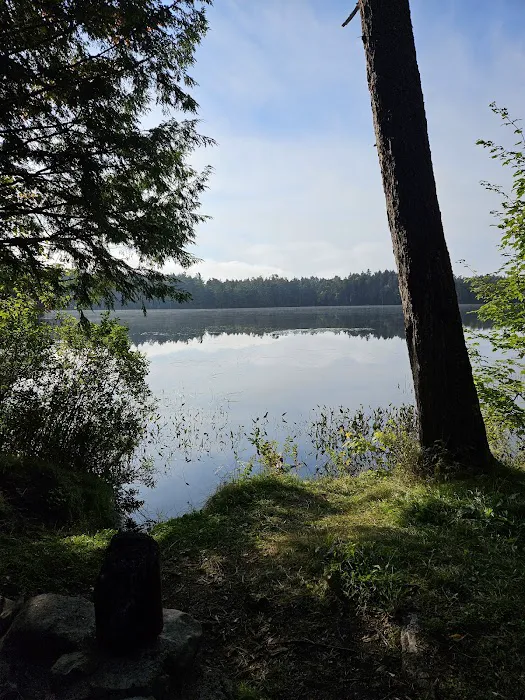 NYS Forest Campground Picture 3