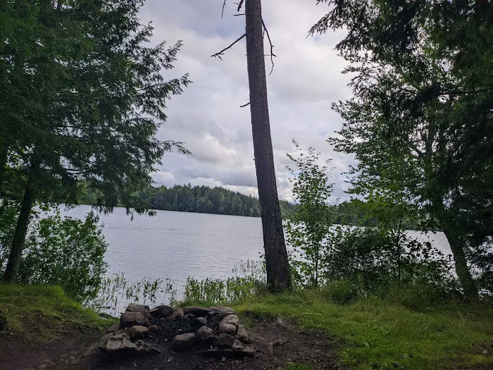 NYS Forest Campground Picture 1