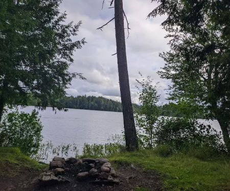 NYS Forest Campground