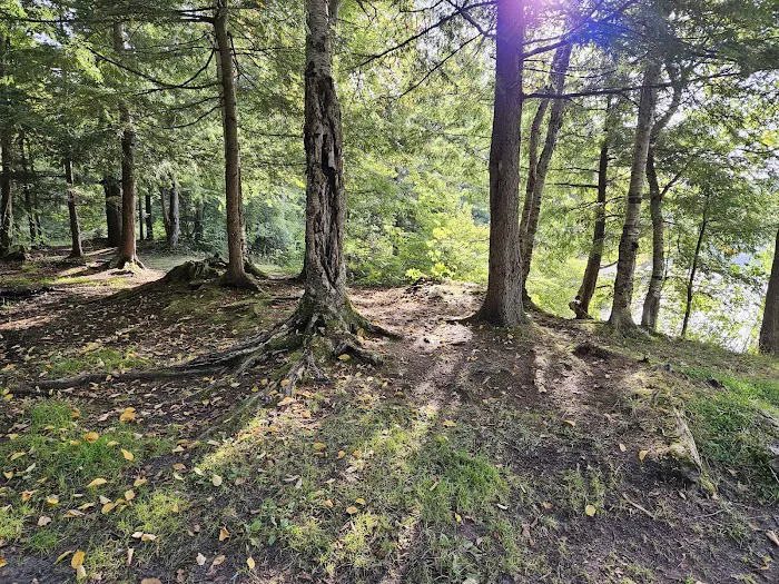 NYS Forest Campground Picture 6