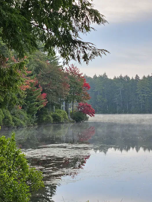 NYS Forest Campground Picture 5