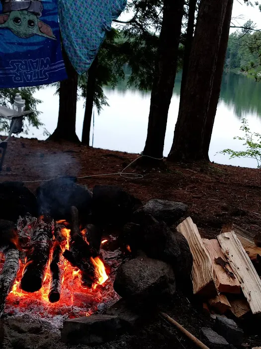 Little Green Pond Picture 3