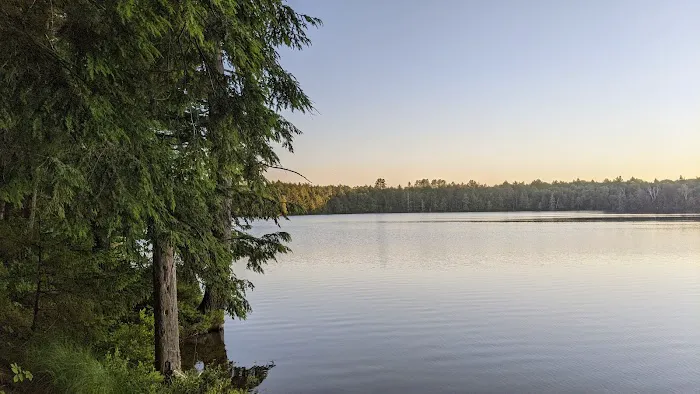 Little Green Pond Picture 2