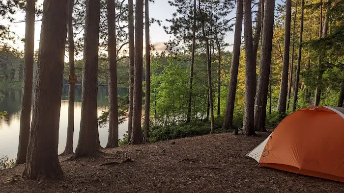 Little Green Pond Picture 1