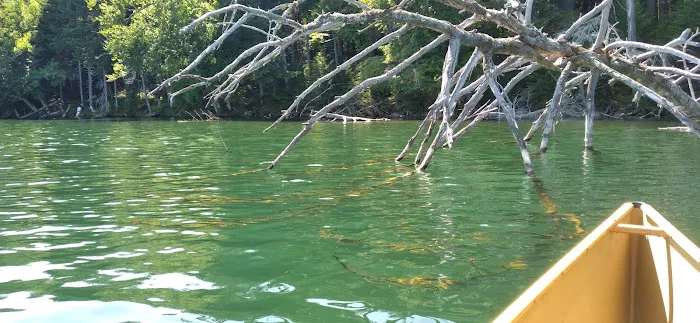 Little Green Pond Picture 7