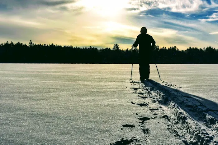 Little Green Pond Picture 8