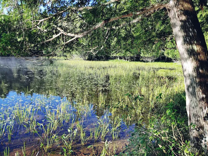 Saranac Lake Islands Campground - Campsite #44 Picture 6