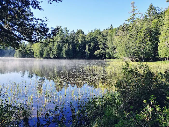 Saranac Lake Islands Campground - Campsite #44 Picture 4