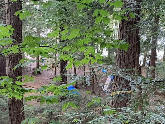 Saranac Lake Islands Campground - Campsite #58 Picture 8