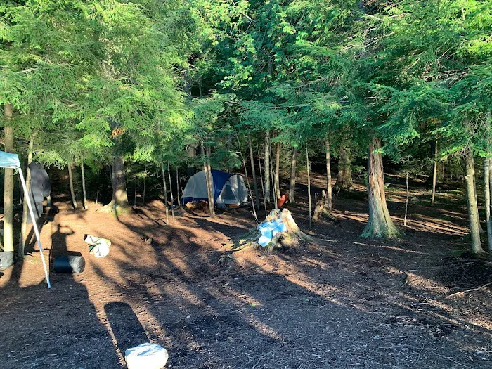 Saranac Lake Islands Campground - Campsite #58 Picture 10