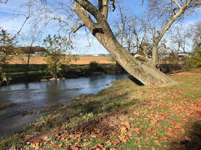 Twin Bridge Campground Picture 10